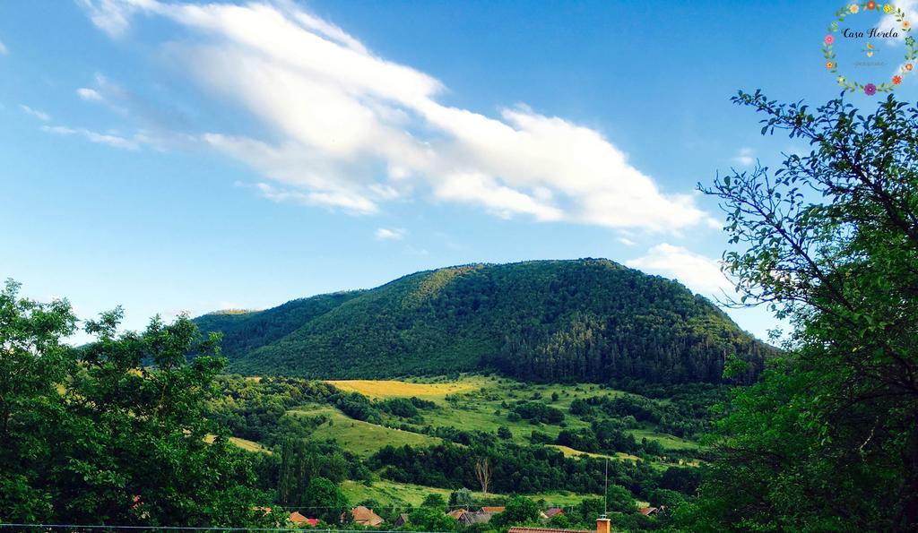 Pensiunea Casa Florela Capusu Mic Экстерьер фото